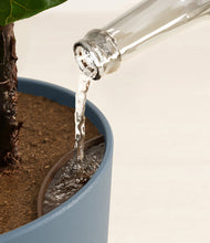 Load image into Gallery viewer, Iron Gray stand:all
