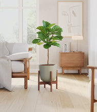 Load image into Gallery viewer, Sage Green stand:walnut
