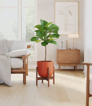 Load image into Gallery viewer, Earth Red stand:walnut
