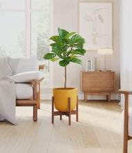 Load image into Gallery viewer, Sunset Orange stand:walnut
