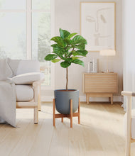 Load image into Gallery viewer, Iron Gray stand:bamboo
