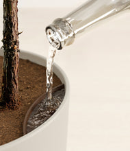 Load image into Gallery viewer, Natural Bamboo stand:all
