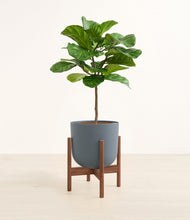 Load image into Gallery viewer, Iron Gray stand:walnut
