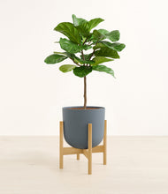 Load image into Gallery viewer, Iron Gray stand:bamboo
