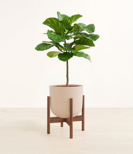 Load image into Gallery viewer, Sandy Pink stand:walnut
