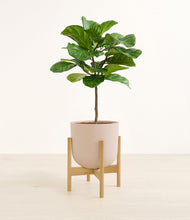 Load image into Gallery viewer, Sandy Pink stand:bamboo
