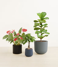 Load image into Gallery viewer, Charcoal
