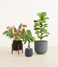 Load image into Gallery viewer, Charcoal stand:one_stand
