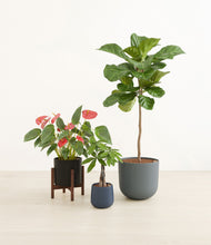 Load image into Gallery viewer, Charcoal stand:one_stand
