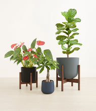 Load image into Gallery viewer, Charcoal stand:two_stands
