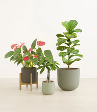 Load image into Gallery viewer, Countryside stand:one_stand
