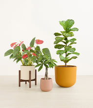 Load image into Gallery viewer, Evening Sky stand:one_stand
