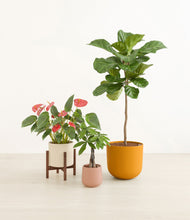 Load image into Gallery viewer, Evening Sky stand:one_stand
