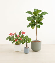 Load image into Gallery viewer, Whispering Waves
