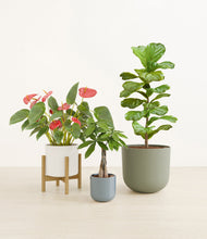 Load image into Gallery viewer, Whispering Waves stand:one_stand
