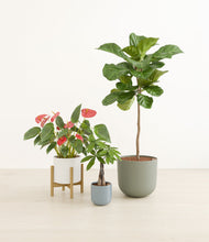 Load image into Gallery viewer, Whispering Waves stand:one_stand
