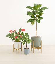 Load image into Gallery viewer, Sandy stand:two_stands
