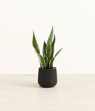 Load image into Gallery viewer, Black*****Profile
