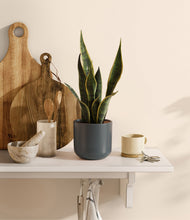 Load image into Gallery viewer, Iron Gray
