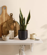 Load image into Gallery viewer, Stone Black
