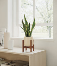 Load image into Gallery viewer, Almond Green stand:walnut
