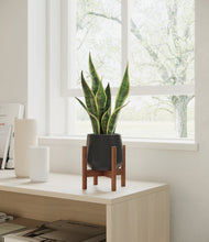 Load image into Gallery viewer, Black stand:walnut
