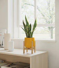 Load image into Gallery viewer, Mustard stand:bamboo
