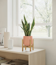 Load image into Gallery viewer, Calm Rose stand:bamboo
