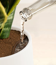 Load image into Gallery viewer, White stand:all
