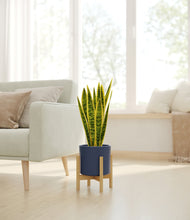 Load image into Gallery viewer, Deep Navy stand:bamboo
