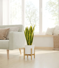 Load image into Gallery viewer, White stand:bamboo
