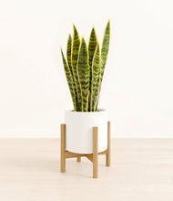 Load image into Gallery viewer, White stand:bamboo
