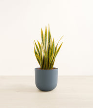 Load image into Gallery viewer, Iron Gray*****Profile
