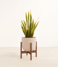 Load image into Gallery viewer, Sandy Pink stand:walnut
