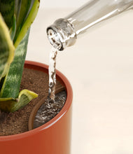 Load image into Gallery viewer, Glossy Red stand:all
