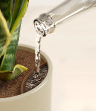 Load image into Gallery viewer, Sage Green stand:all
