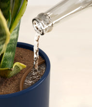 Load image into Gallery viewer, Eclipse stand:all
