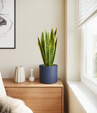 Load image into Gallery viewer, Deep Navy
