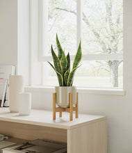 Load image into Gallery viewer, Sage Green stand:bamboo
