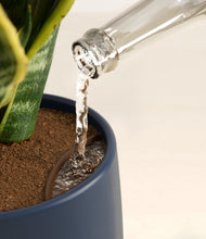 Load image into Gallery viewer, Deep Navy stand:all
