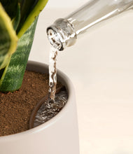 Load image into Gallery viewer, Eternal Gray stand:all
