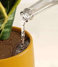 Load image into Gallery viewer, Mustard stand:all
