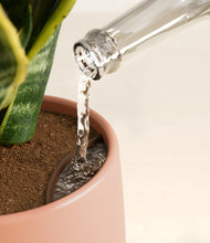 Load image into Gallery viewer, Calm Rose stand:all
