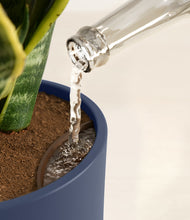 Load image into Gallery viewer, Deep Navy stand:all
