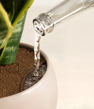 Load image into Gallery viewer, Desert Brown stand:all
