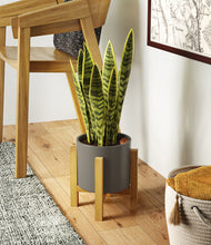 Load image into Gallery viewer, Dark Olive stand:light
