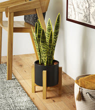 Load image into Gallery viewer, Black stand:light
