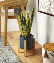 Load image into Gallery viewer, Deep Navy stand:light
