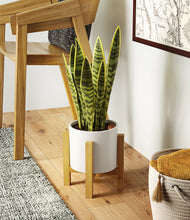 Load image into Gallery viewer, White stand:light
