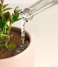 Load image into Gallery viewer, Gentle Pink stand:all
